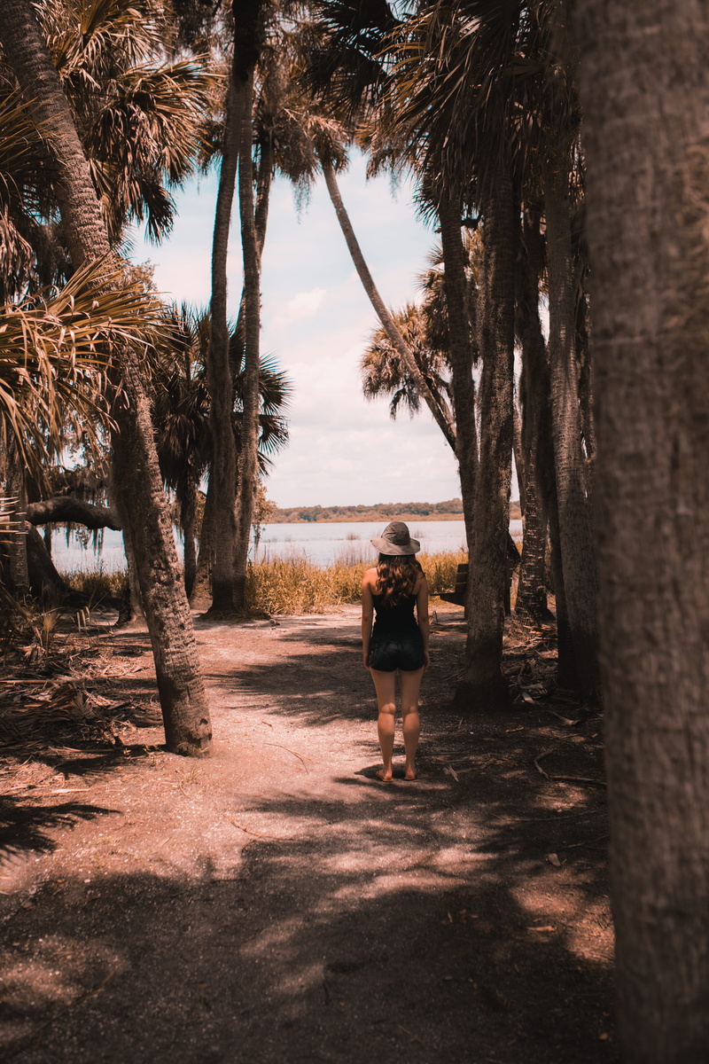 united states, leisure activity, road, growth, gravel, exercise, adult, myakka river state park, working out, flora, women, tree trunk, near, jogging, one person