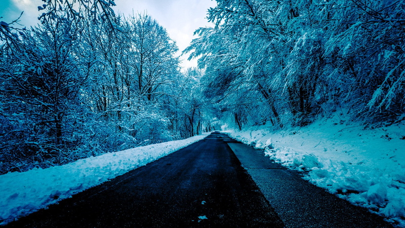 winter, black, plant, nature, treelined, beauty in nature, sky, day, vanishing point, outdoors, no people, tranquil scene, cold temperature, road, empty road