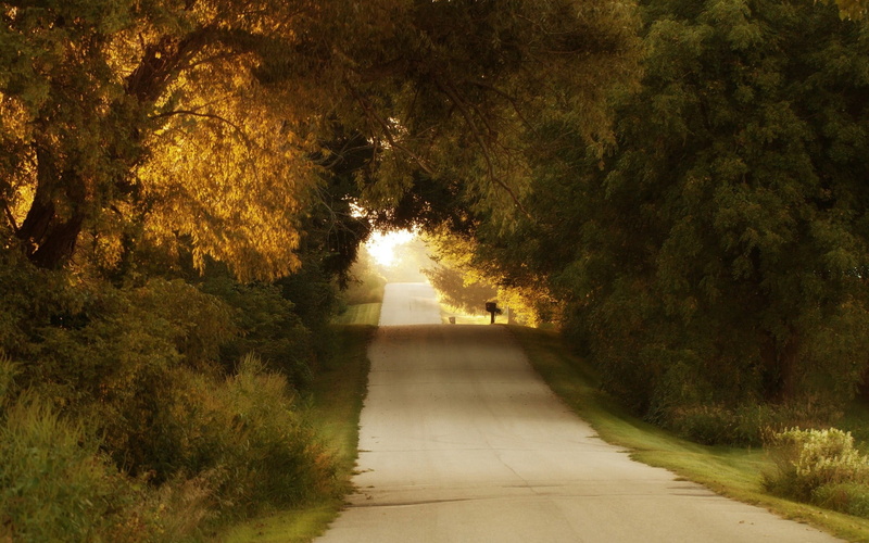 tranquility, road, diminishing perspective, trees, beauty in nature, plant, park, park - man made space, scenics - nature, no people, footpath, transportation