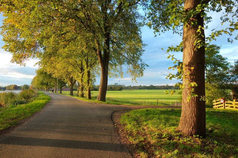 outdoors, tranquility, no people, landscape, long, tree trunk, road, groengebied amstelland, tranquil scene, gate, beauty in nature, meadow grass, nature