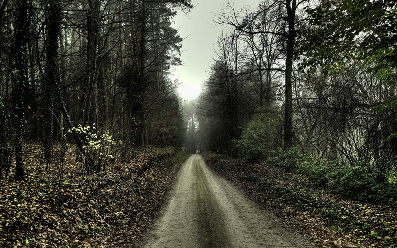 gloomy, cloudy, wood, road, dullness, autumn, 2K, country