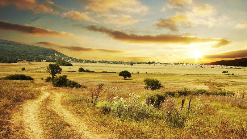 3d and abstract, fields, 1080P, nature, beautiful, road, country