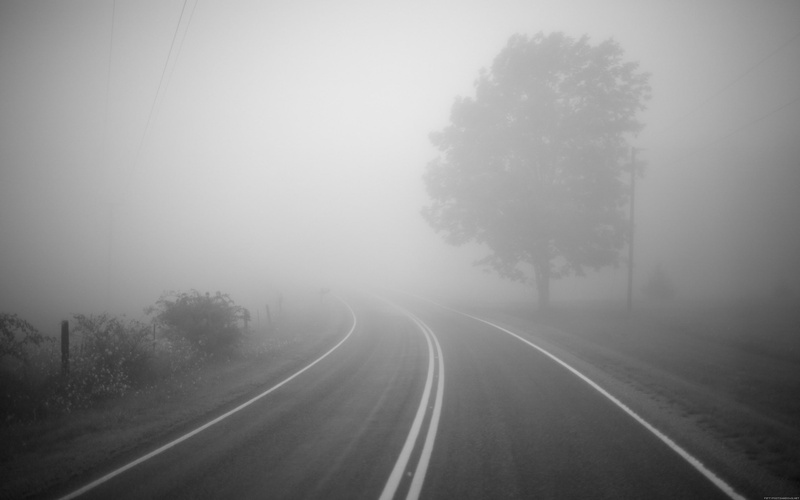 outdoors, dividing line, curve, road marking, fog, tranquility, country road, marking, transportation, tree, day, the way forward, photography, sign, 2K