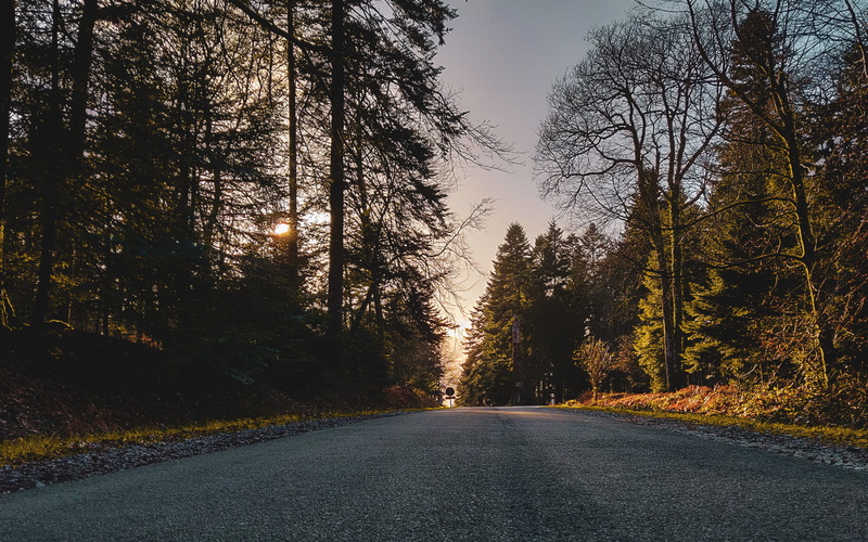 carrefour du chêne au verdier, 2K, growth, paper, transportation, nature, highway, autumn, saint-nicolas-des-bois, land, trees, direction, summer, outdoors