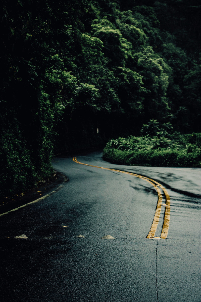 growth, outdoors, street, lost, perspective, beauty in nature, grey, asphalt, the way forward, concrete, transportation, plant, tranquil scene, direction