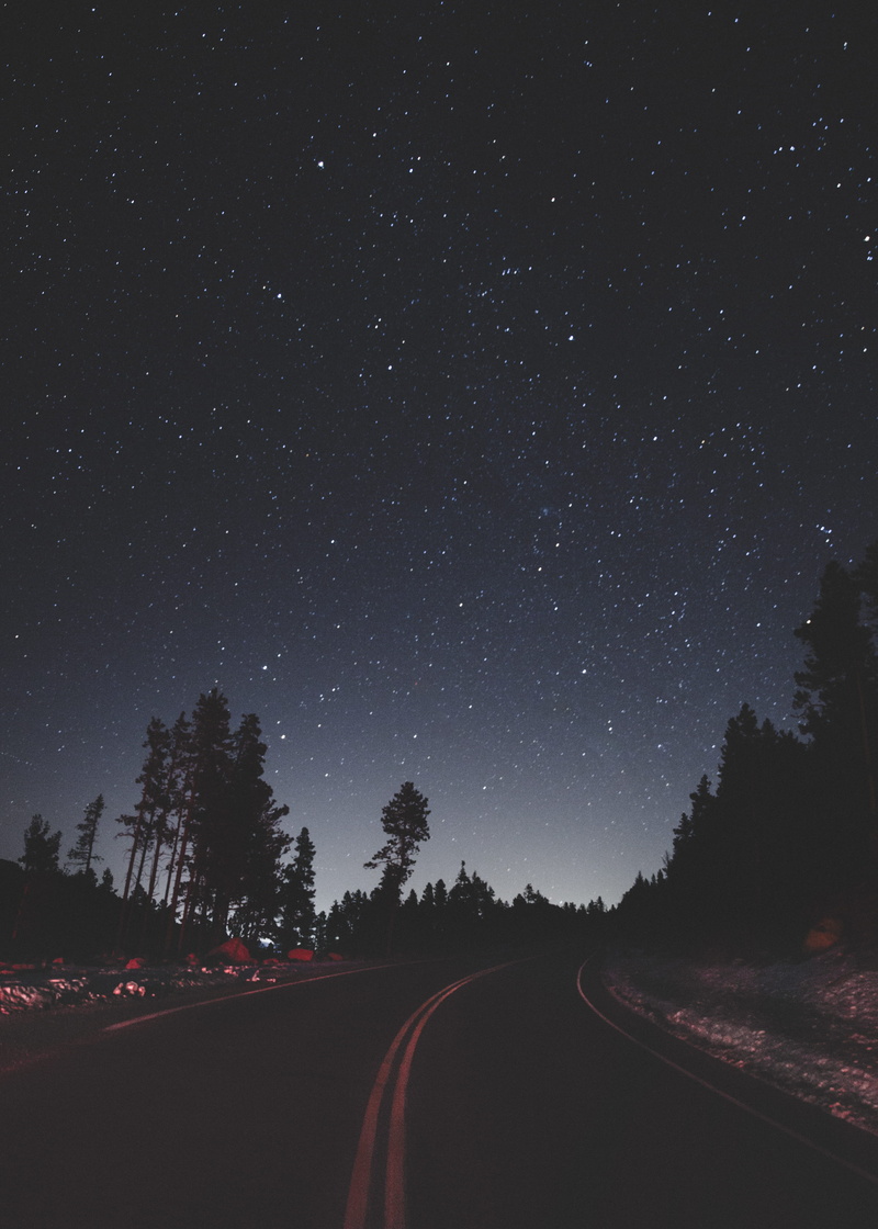 looking, dark, plant, beauty in nature, night, road, star field, star, milky way, tranquil scene, space, infinity, stars, silhouette, scenics - nature