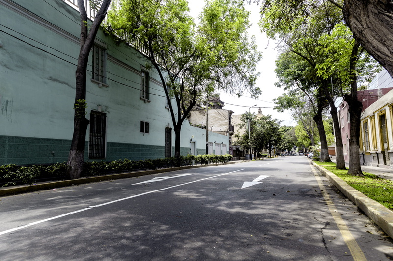 nature, the way forward, outdoors, diminishing perspective, plant, building exterior, architecture, road marking, barranco, day, peru, empty, building