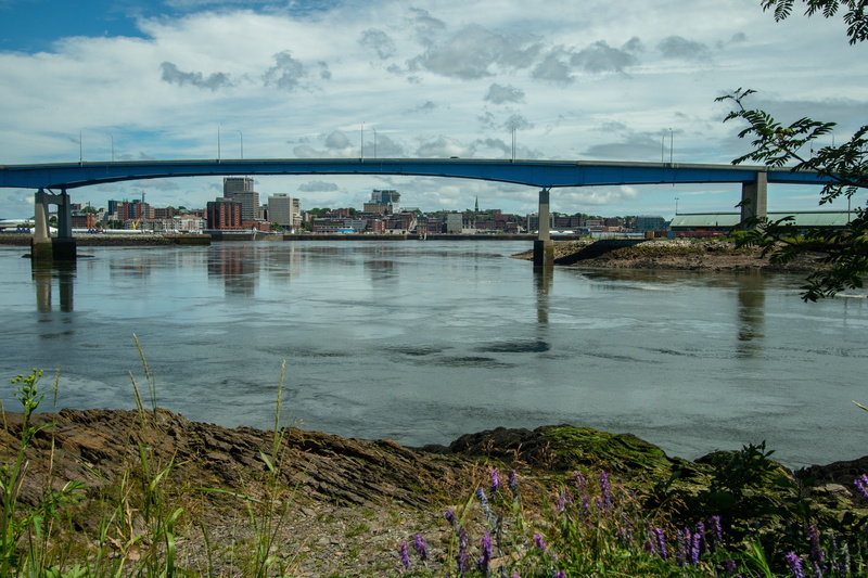 city, plant, no people, built structure, transportation, buildings, fundy tides, sky, architecture, saint john, connection, rocks, nature, cloud - sky