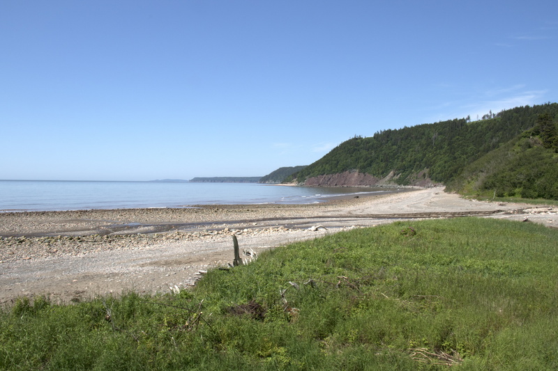 grass, ocean, tourism, water, tranquility, atlantic, fundy, beach, clear sky, blue, copy space, landscape, tide, canada, coastline, 5K, sea, beauty in nature