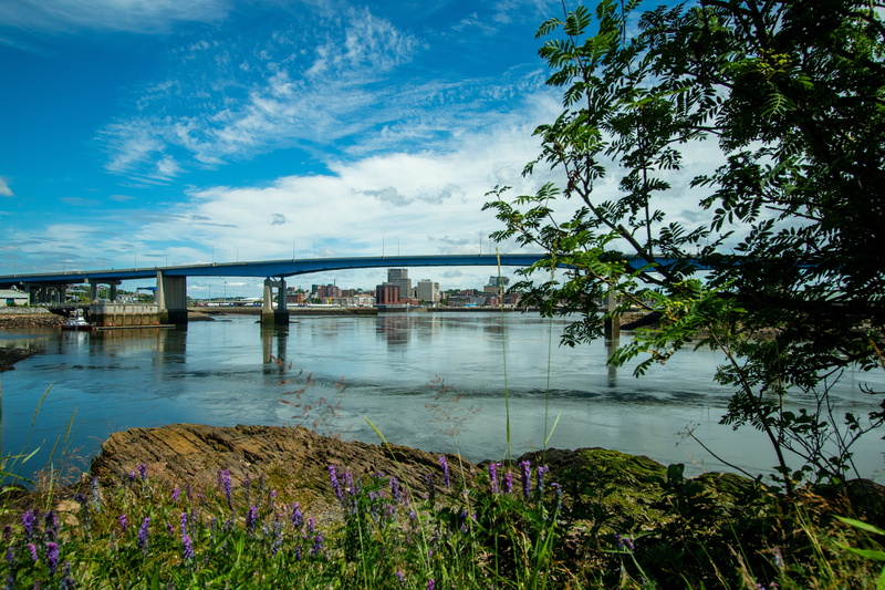 bridge, growth, travel destinations, built structure, arch bridge, harbour, bridge - man made structure, buildings, architectural column, saint john, river