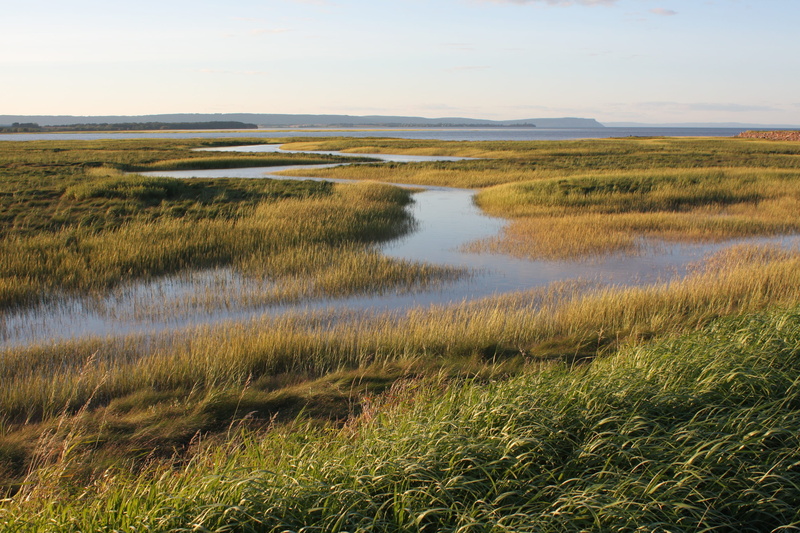 dike, bay, tranquility, basin, marram grass, tranquil scene, canada, coast, minas, nature, grass, scenics - nature, land, ocean, beauty in nature, fundy