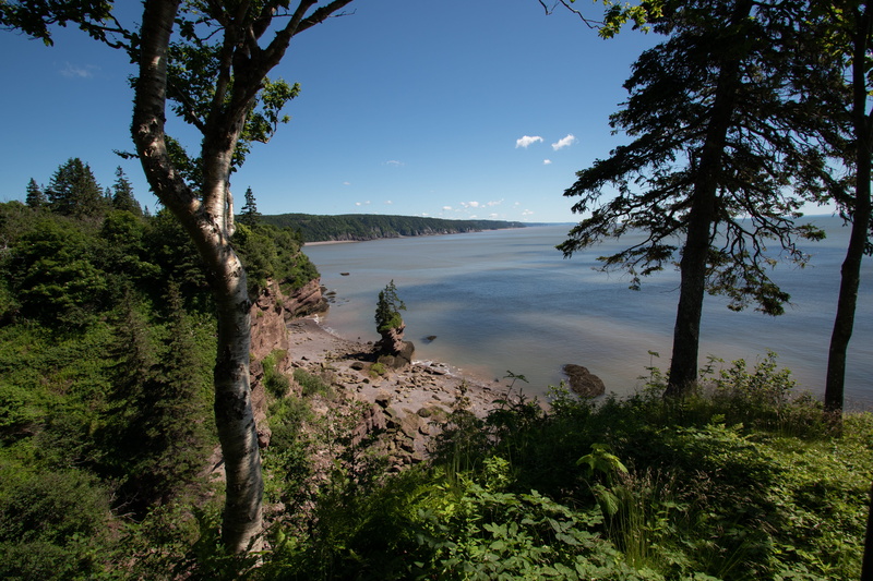 new brunswick, day, nature, outdoors, bay of fundy, sky, environment, mountain, plant, maritimes, water, fundy, scenics - nature, non-urban scene, growth