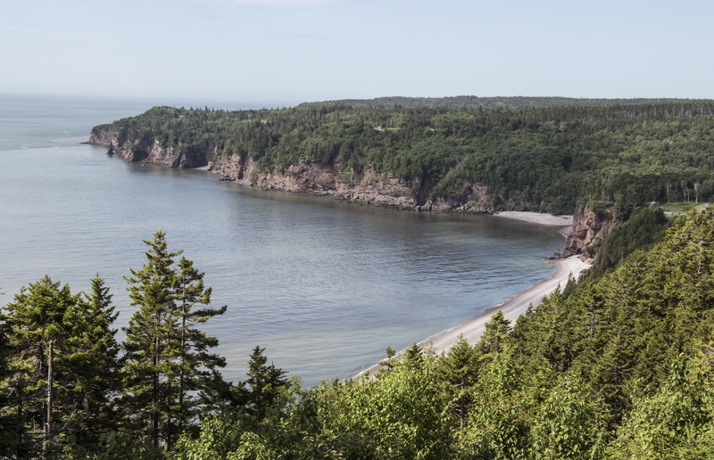 tourism, new brunswick, non-urban scene, atlantic, beauty in nature, scenics - nature, tree, nature, land, fundy coast, tranquil scene, 5K, water, tranquility
