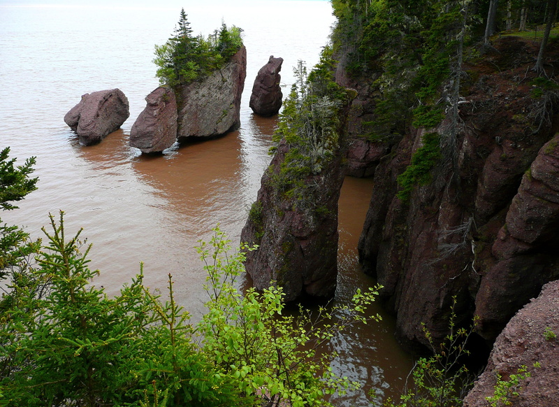 rock formation, plant, idyllic, tree, beauty in nature, canada, tourist attraction, day, rock, land, hopewell rocks, outdoors, nova scotia, body, landscape