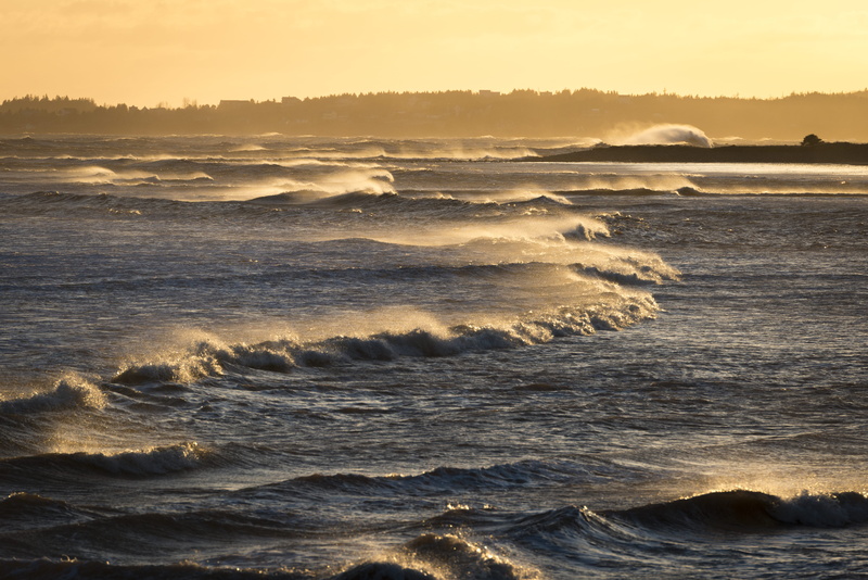 sky, waves, sunset, beach, beauty in nature, lawrencetown beach, nature, non-urban scene, canada, idyllic, outdoors, wind, motion, land, east lawrencetown