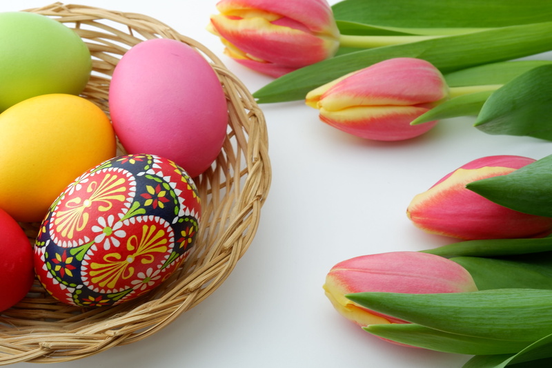 art and craft, red easter eggs, easter decoration, container, chicken eggs, painted easter eggs, plant, osterkorb, colorful easter eggs, colorful eggs