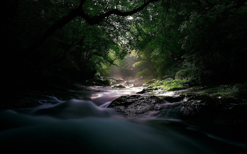 forest, nature, hd, stones, stream, rocks, 1080P, river, trees