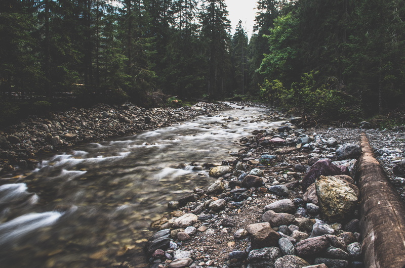 outdoors, woodland, Poland, surface level, pebble, nature, tranquility, forest, rock - object, non-urban scene, flowing, downloading, river, solid, flowing water