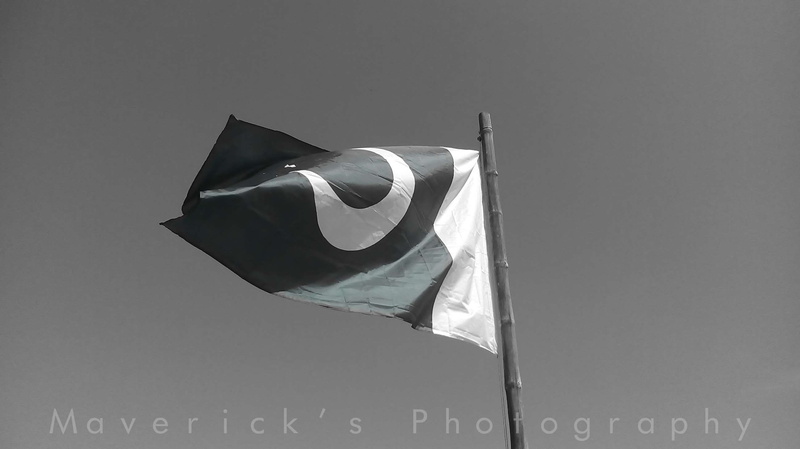 emotion, flag, minimalist, patriotism, waving, shape, studio shot, outdoors, gray, textile, green, flagpole, nature, pakistan, black and white, environment