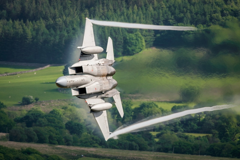 mode of transportation, no people, green color, outdoors, McDonnell Douglas F-15 Eagle, land, plant, nature, forest, day, transportation, Warplane, beauty in nature