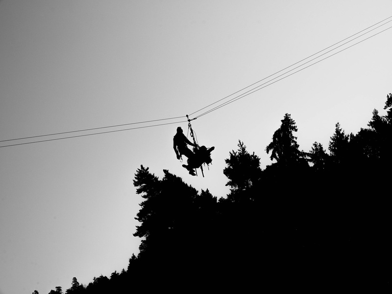 outdoors, ensure, silhouette, plant, leisure activity, no people, cable, trees, hanging, growth, low angle view, descent, steep, tree, day, vertebrate
