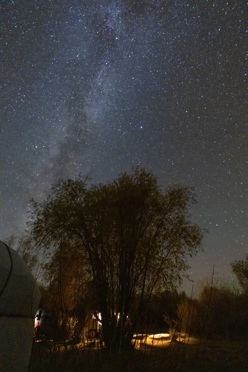scenics - nature, 5K, star, galaxy, transportation, car, star field, sky, stars, growth, plant, outdoors, nature, ulgii, night skies, no people, tree