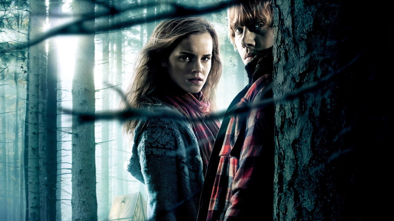 Harry Potter and the Deathly Hallows: Part 1, Emma Watson, Harry Potter, 1080P, Rupert Grint, Hermione Granger, Ron Weasley