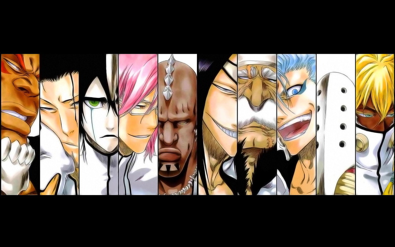 Baraggan Louisenbairn, Yammy Llargo, Aaroniero Arruruerie, Tier Halibel, Nnoitra Gilga, Coyote Starrk, Grimmjow Jaegerjaquez, Zommari Rureaux, Bleach, Ulquiorra Cifer