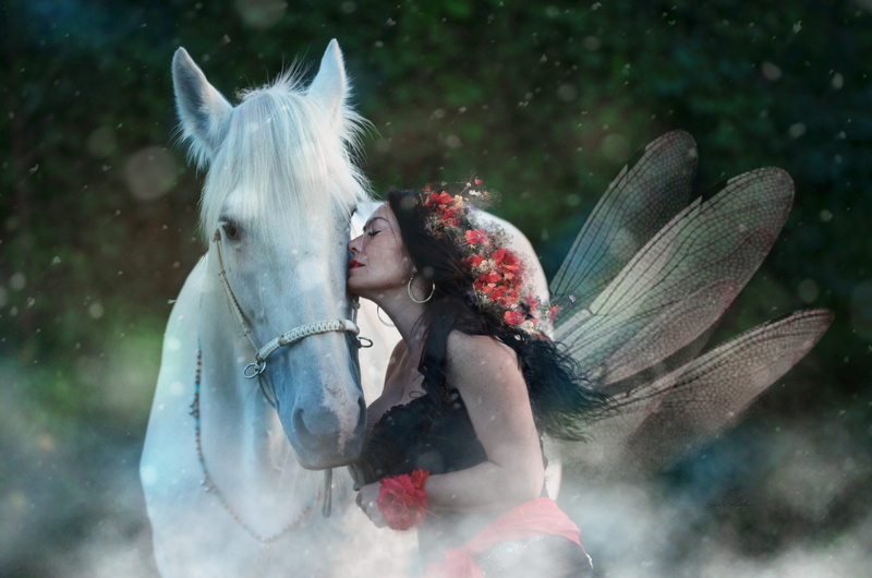 summer, real people, face, fairy tale, mammal, animal wildlife, clothing, kissing, portrait, women, lifestyles, woman, white horse, magic, warm clothing