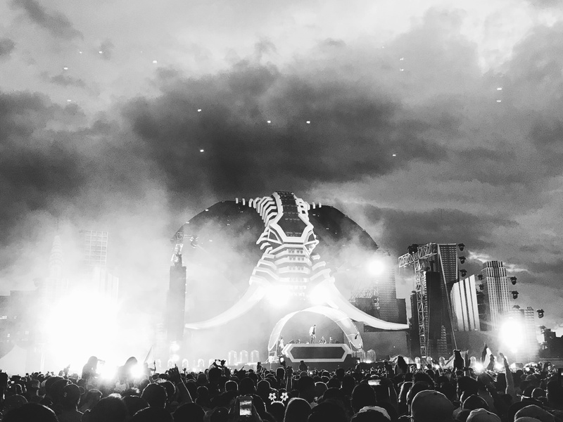 dance, women, stage, popular music concert, music, event, night, edm, illuminated, zoo, large group of people, enjoyment, festival, nightlife, electric zoo