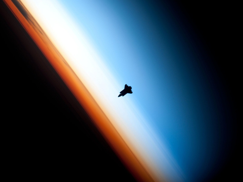 animal themes, vertebrate, 1080P, silhouette, sunlight, nature, animal wildlife, animal, blue, low angle view, space exploration, space travel vehicle