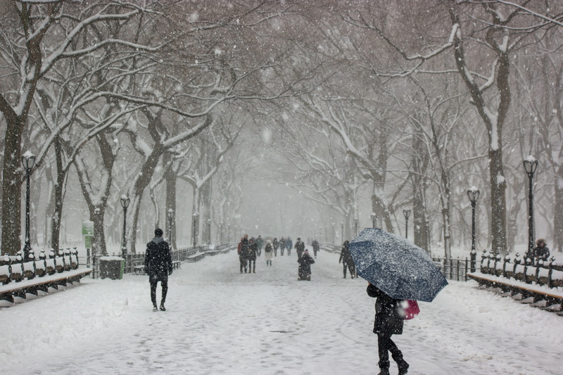 rain, snow, urban, outdoors, scene, group of people, cold, lifestyles, footpath, architecture, protection, 2K, central park, women, landscape, trees, cold temperature