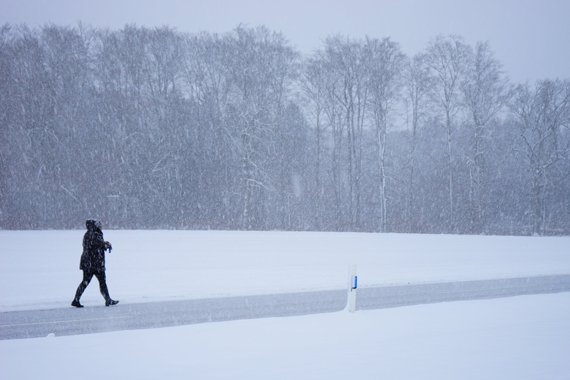 escape, tree, winter, winter storm, plant, person, field, frost, beauty in nature, non-urban scene, way home, lifestyles, cold temperature, day, warm clothing