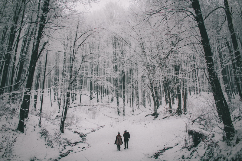 black and white, rear view, persons, walking, nature, weather, bare tree, warm clothing, tranquility, scenics - nature, photo, outdoor, travel, snow, cold