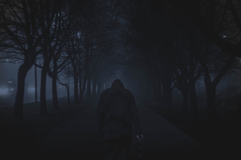 bare tree, solitude, outdoors, forest, plant, hoodie, pathway, leisure activity, silhouette, loneliness, dark, tall, 5K, hood - clothing, Wilderness, cold - Temperature