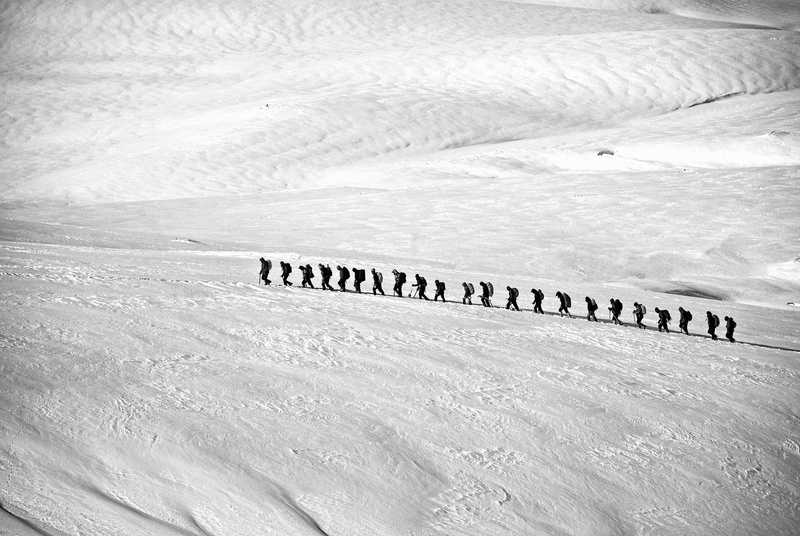 communication, large group of animals, animal wildlife, outdoors, trekking, high angle view, climber, nature, tranquil scene, line, beauty in nature, non-urban scene
