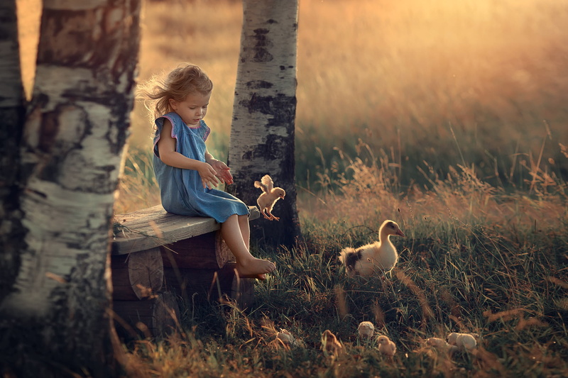 Little Girl, Photography, Bird, Girl, 1080P, Child, Baby Animal