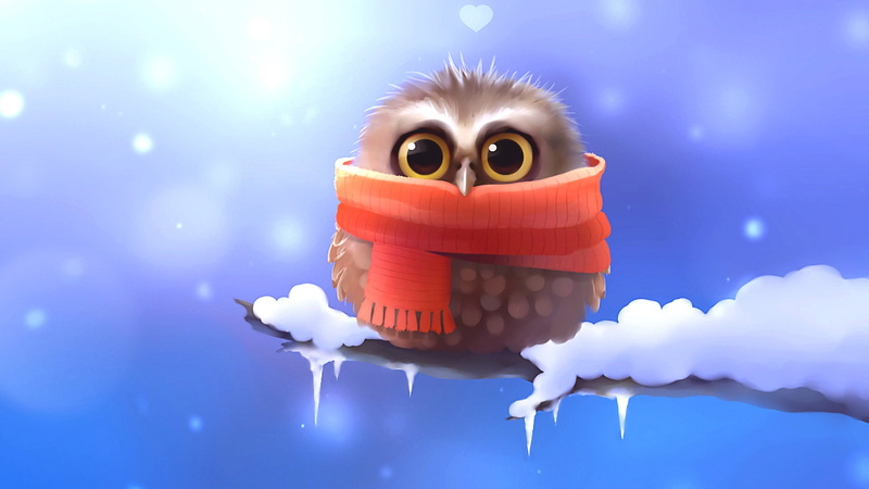 scarf, illuminated, arts culture and entertainment, nature, little owl, celebration, fun, branch, connection, colored background, technology, close-up