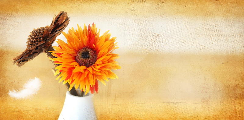 vase, orange color, fragility, flower, nature, close-up, textured effect, daisy, flower arrangement, flower head, flowers, growth, 4K, yellow, petal, pollen