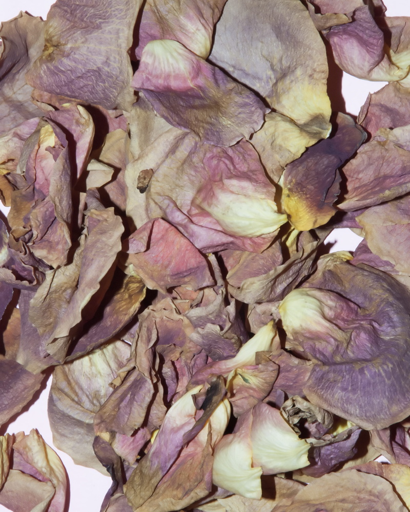 onion, vulnerability, full frame, high angle view, shallot, leaves, vegetable, pink, food, plant, freshness, rose petals, still life, flower, abundance