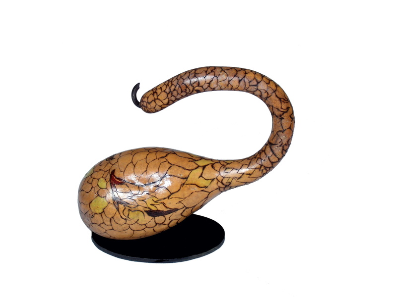 one animal, african gourd, single Object, Dried, neck, animal wildlife, white Background, indoors, decorations, brown, decorative, shiny, curved, art and craft