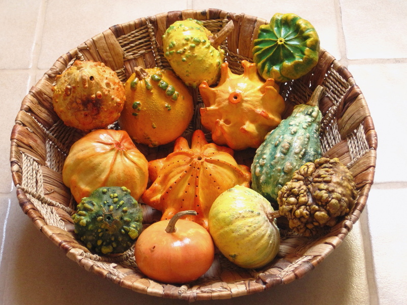 variation, freshness, vegetable, choice, fruits, basket, painted, healthy eating, container, high angle view, 2K, dried, table, decorative squashes, food