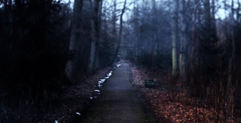the way forward, vanishing point, dark, landscape, land, plant, 4K, forest, road, growth, direction, alone, trunk, woodland, tranquil scene, outdoors