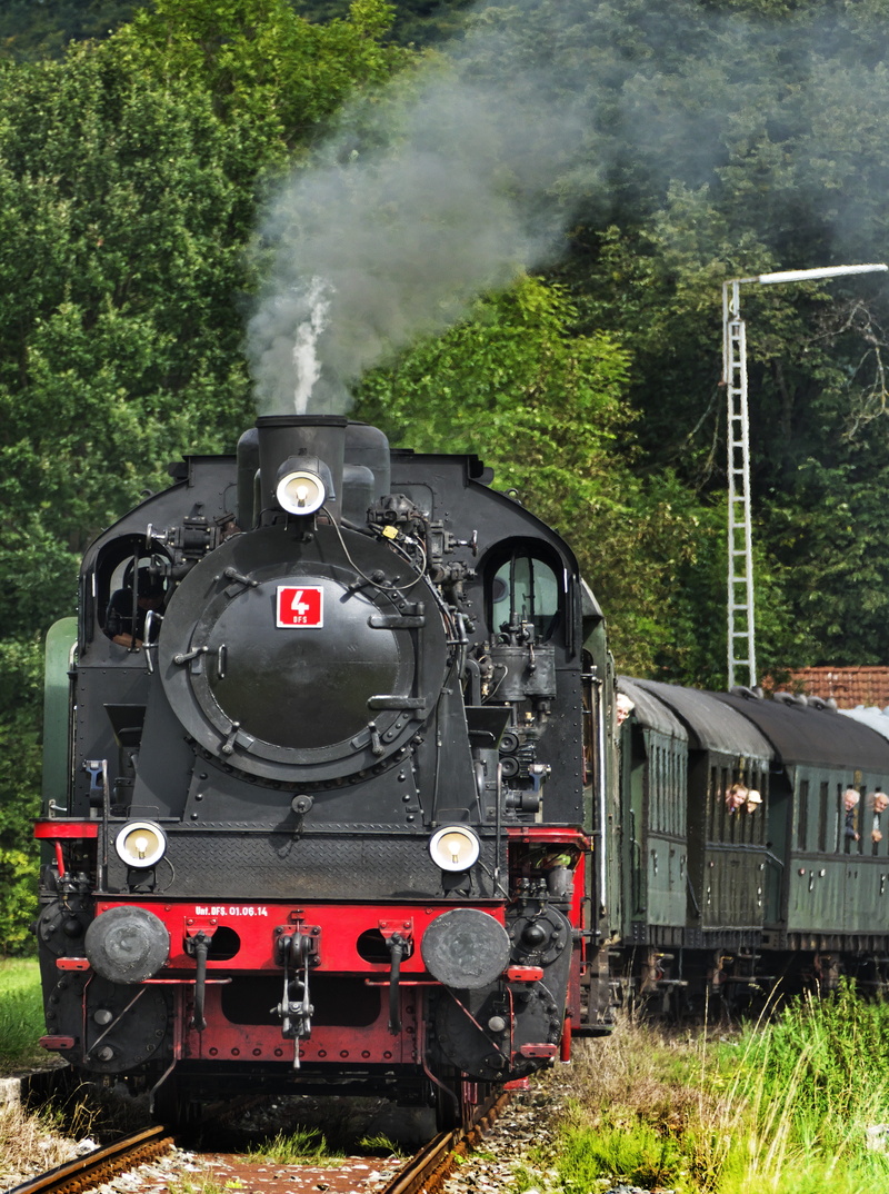 railroad track, nostalgic, tank locomotive, loco, transportation, museum train, locomotive, operation of the museum, steam railway, smoke, historically