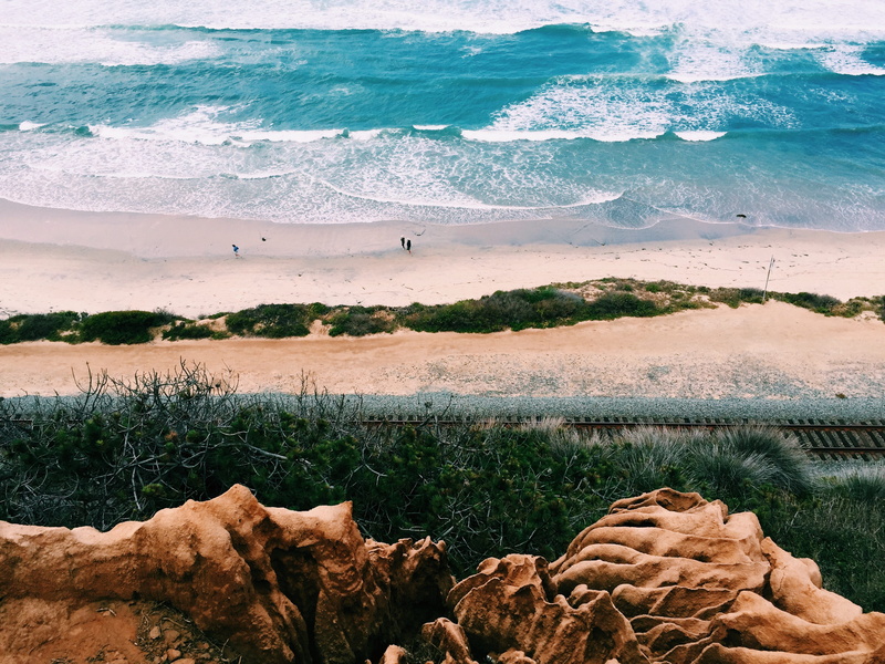 plant, motion, tree, water, ocean, day, tranquil scene, sea, united states, surf, san diego, torrey pines, scenics - nature, land, beach, no people, non-urban scene