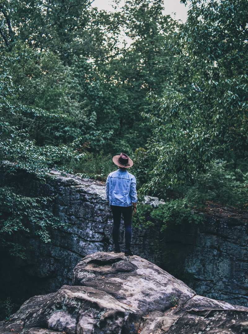 hello, day, outdoor, united states, rear view, lake, moss rock preserve, lifestyles, green color, goodbye, casual clothing, rock, background, nature, growth