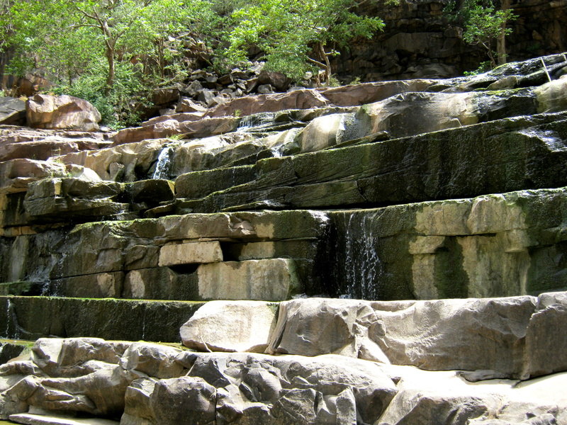 forest, stone Material, no people, flowing, outdoors, beauty in nature, long exposure, scenics - nature, rock, jungle, falling water, natural, plant, rock - Object