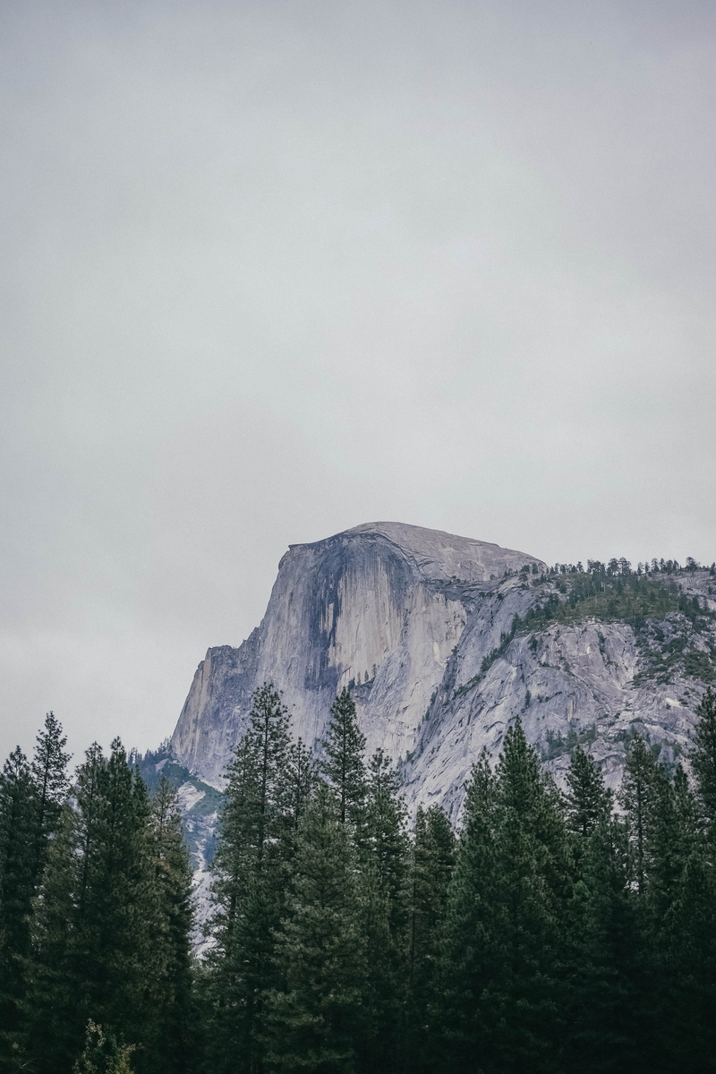 half dome, idyllic, environment, 4K, day, low angle view, tranquil scene, cloud - sky, coniferous tree, cloudy, sky, cold, remote, united states, formation