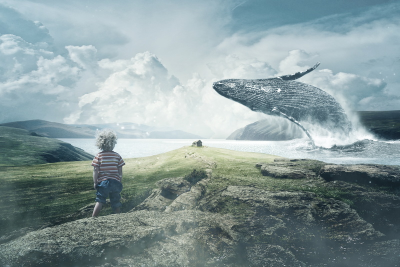 Landscape, Boy, Whale, 5K, 5K, Alone, Surreal, Sea