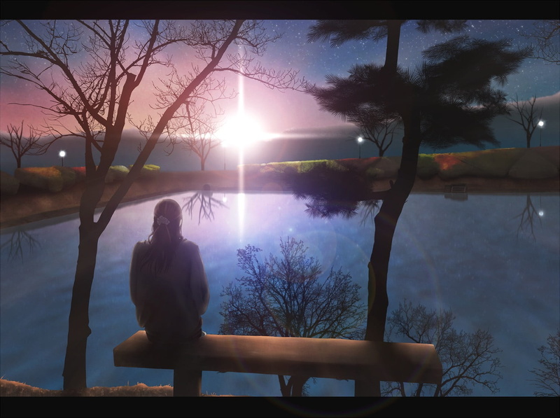 beauty in nature, rear view, transfer print, adult, sunset, silhouette, tranquility, original characters, leisure activity, bare tree, 720P, sky, real people